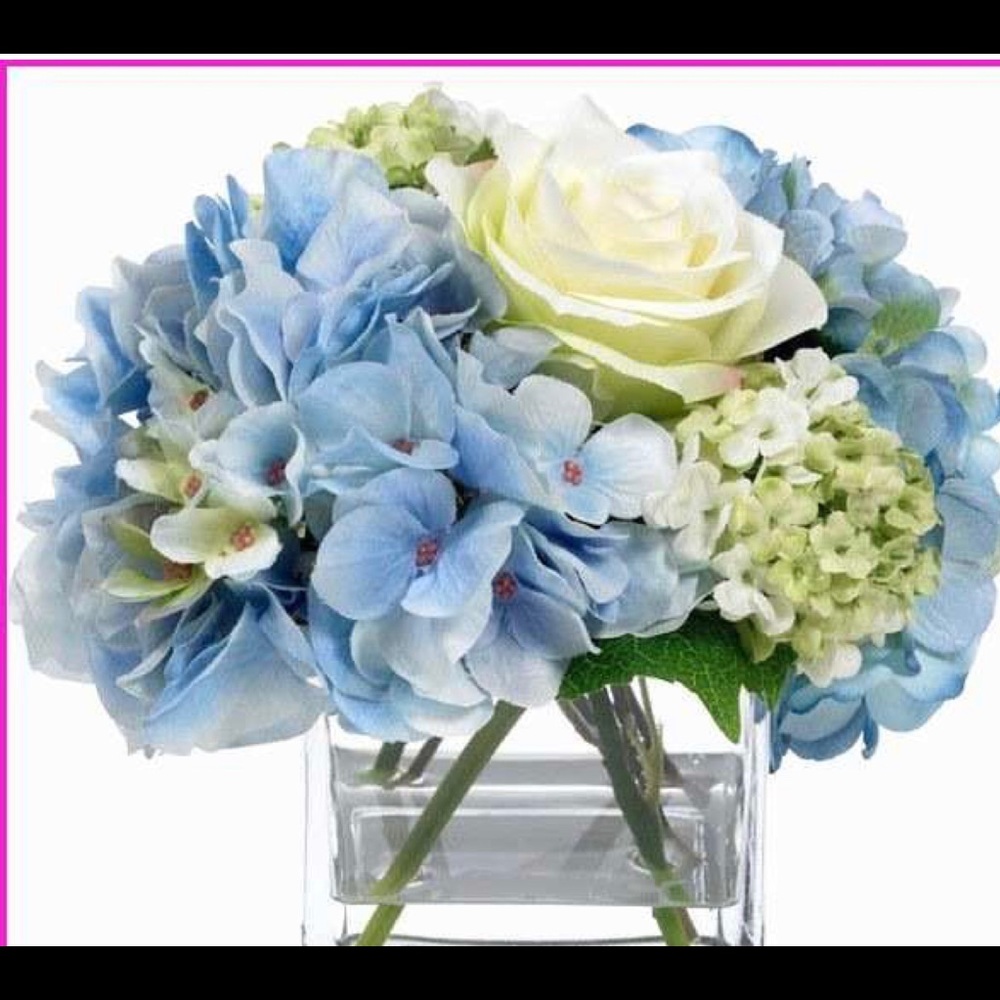 Meet your Posher, HydrangeaBlu